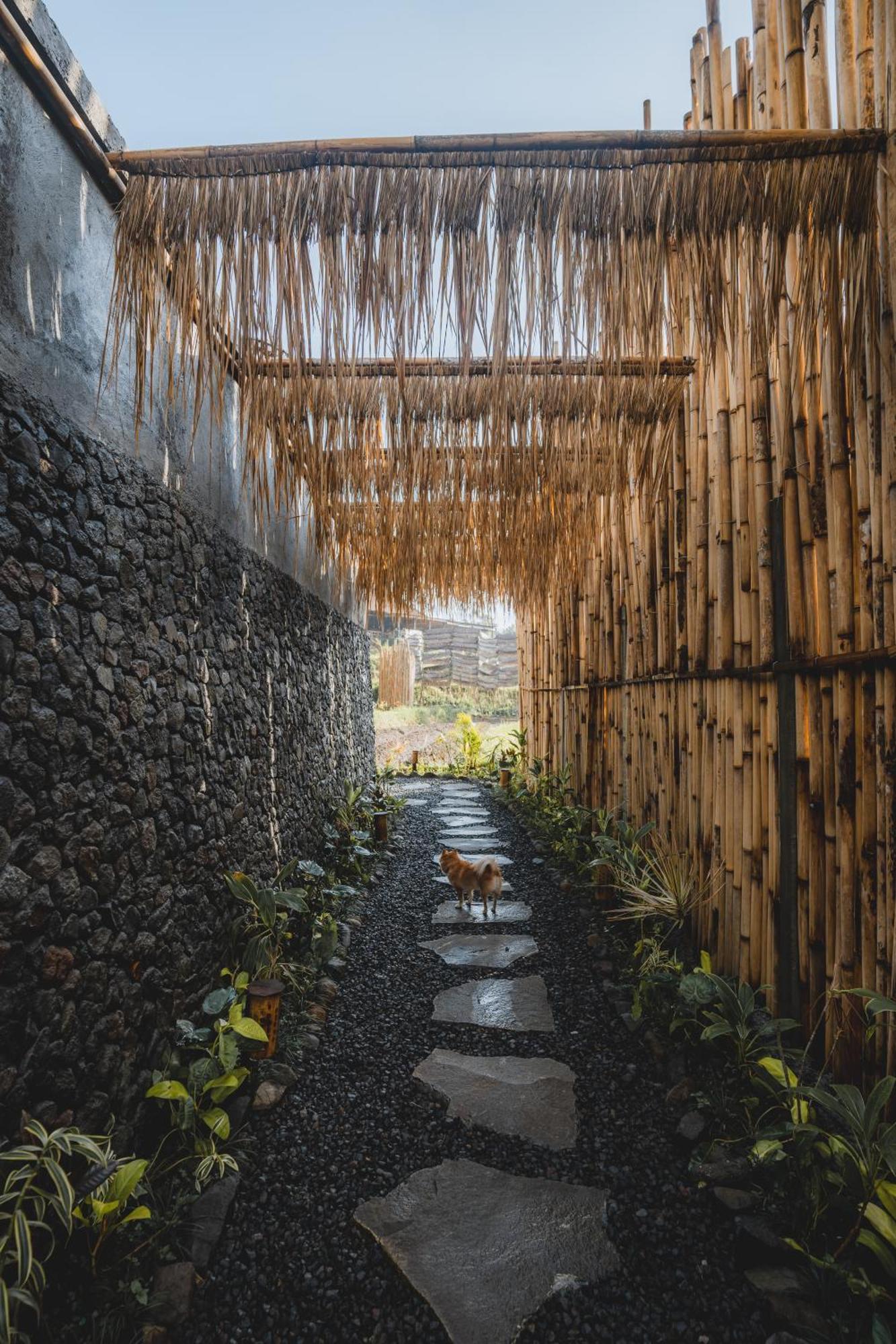 Вилла Nivriti Bali Сидемен Экстерьер фото